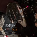 GutterPunk - Professional Concert Photography